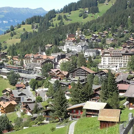 Apartment With Great View At Brunner Wengen