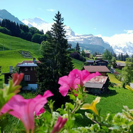 With Great View At Brunner