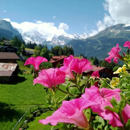 Apartment With Great View At Brunner