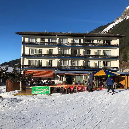 With Great View At Brunner