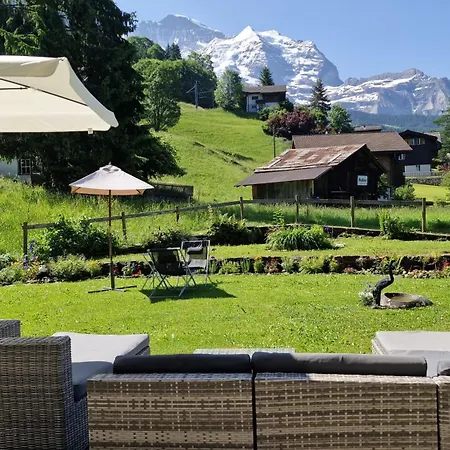 With Great View At Brunner