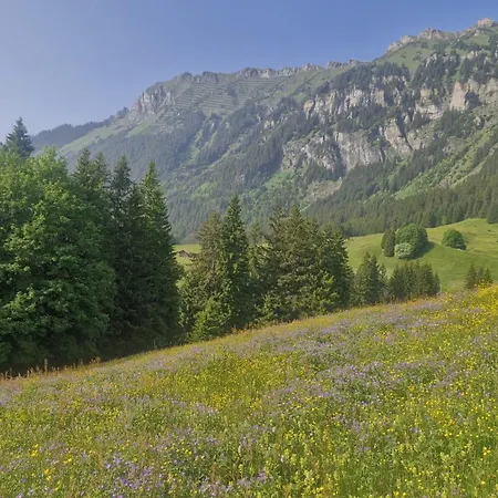 With Great View At Brunner * Wengen