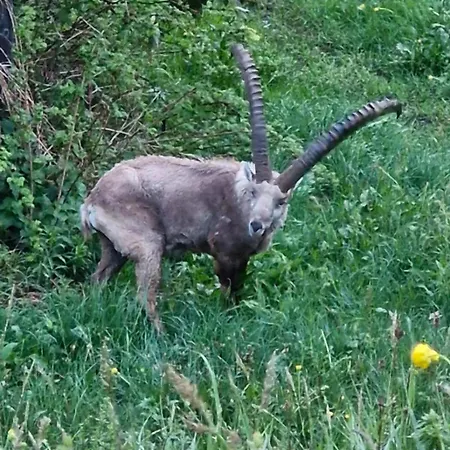 Apartamento With Great View At Brunner *