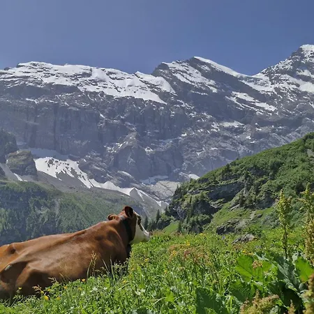 With Great View At Brunner Apartment Wengen