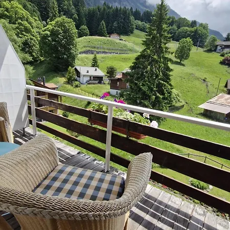 With Great View At Brunner *