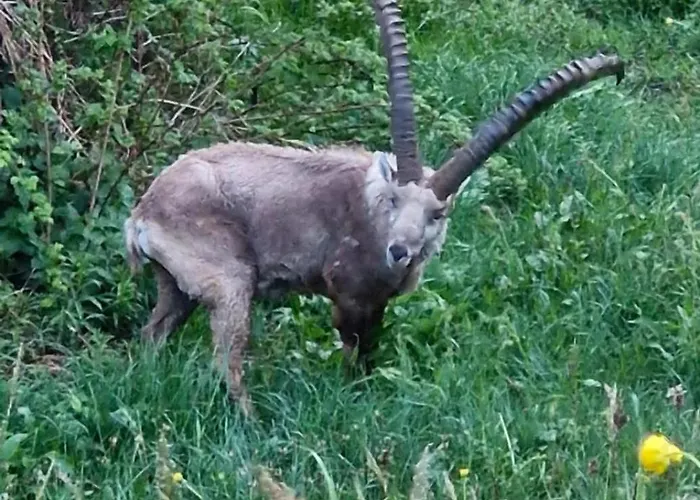 Διαμέρισμα With Great View At Brunner *