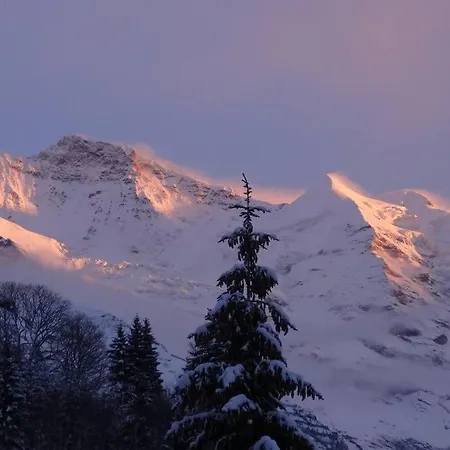 Appartement With Great View At Brunner *