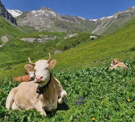 With Great View At Brunner