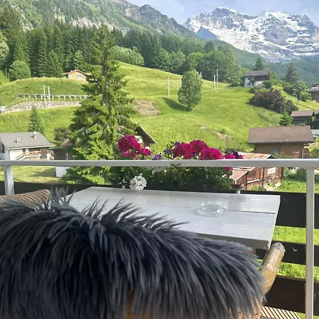 With Great View At Brunner Wengen