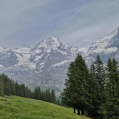 Appartement With Great View At Brunner Wengen