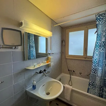 With Great View At Brunner *