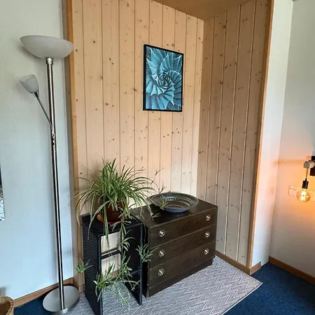 With Great View At Brunner * Wengen