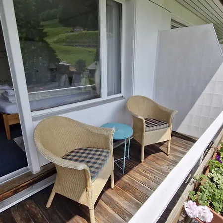 With Great View At Brunner Wengen