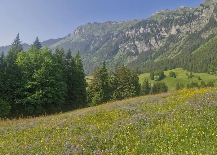 With Great View At Brunner * Wengen