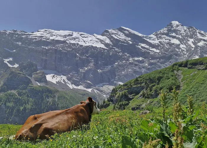 With Great View At Brunner Apartamento Wengen