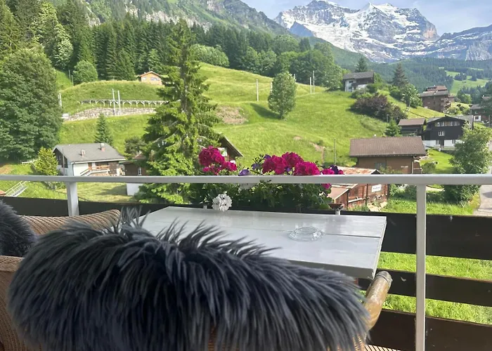 With Great View At Brunner Wengen