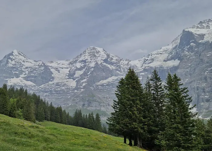 Apartamento With Great View At Brunner Wengen